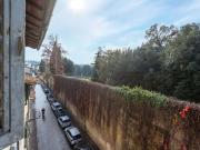 Torrigiani View