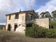 Toscana Maremma Grosseto Magliano in Toscana – A soli....