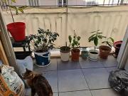 Toulon 83000 Achat / Vente appartement 3 pièces t3