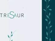 Toulouse 31000 Achat / Vente appartement 5 pièces t5