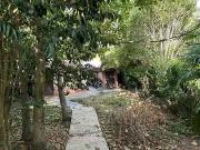 Toulouse 31000 Achat / Vente maison 3 pièces t3