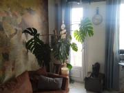 Toulouse Location Appartement 31