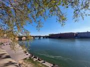 TOULOUSE Midi Pyrénées 31000 LS89472093