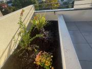 Toulouse Vente Appartement 31