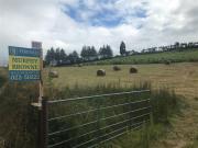 Toureennagrena, Rockchapel, Mallow, Cork Murphy Browne...