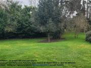 Tournan en Brie 77220 Programme neuf terrain neuf à vendre