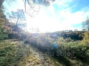 TOURVES 17 000 m² de liberté