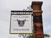 Town and Country Negros 240sqm Lot For Sale