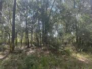 Town Block $69,000 Walk To Everything