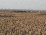 Towncity Plots In Vindhane,Vindhane Residential Plot For...