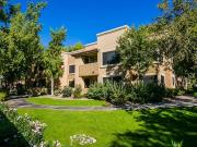 Towne Square Apartment Homes The Mesquite