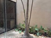 Townhose en renta Montes de Ame Mérida Yucatán
