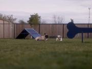 Townhouse 1 Bedroom For Rent Winnipeg MB 1010 ES96335967