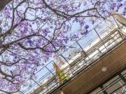 Townhouse en venta en Condesa