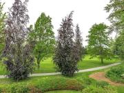 Townhouse for sale in Morgan Creek Surrey South Surrey...