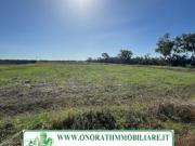 TP 43MQ 8.000 FIUMICINO