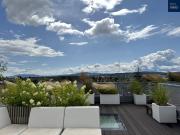 Tradition und Moderne Einzigartiges Penthouse in Hietzing