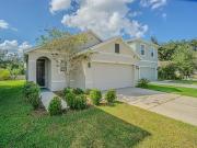 Trailing Vine Dr, Tampa, Home For Sale