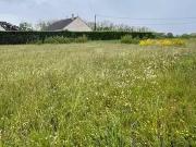 Traînou 45470 Programme neuf terrain neuf à vendre