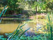 Tranquil Eumundi acreage home with beautiful views Tranquil Eumundi acreage home with beautiful views