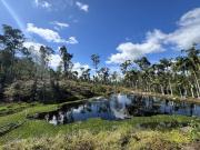 Tranquil Gold Coast Hinterland Retreat on 7.4 Acres