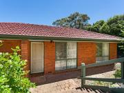 Tranquil Living Amongst the Trees