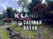 Tranquil Retreat Agricultural Lot with Mangosteen Orchard