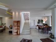 Tranquilidade em casa de equina na frente ao bosque –...