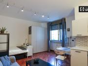 Tranquillo monolocale in affitto a Calvairate, Milano