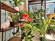 Traspaso de floristería en pleno funcionamiento en el...
