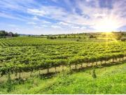 TRASPASO RESTAURANTE EN PLENO FUNCIONAMIENTO EN EL...
