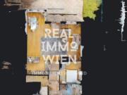 Traum Domizil mit Weingartenkulisse und...