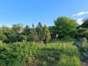 Traum Eigengrund | Friedhof Großjedlersdorf