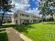 Traumhafte 2 Zi Whg mit Terrasse im Grünen des Ludwig...