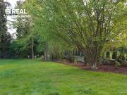 TRAUMHAFTE DG WOHNUNG IM COTTAGEVIERTEL