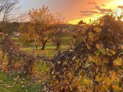 Traumhafter Vierkanthof privat Provisionsfrei Traumhafter Vierkanthof privat Provisionsfrei