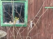 Traumhaftes Baugrundstück in Brunn am Gebirge – Ihr...