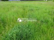 Traumhaftes Grundstück für 2 Wohneinheiten in Horn 929m²...