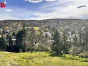Traumhaftes Hanggrundstück in Kierling, Klosterneuburg...