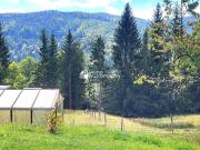 Wohnen direkt am Waldrand mit Panoramablick