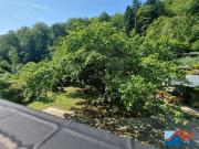 Traumhaus zu kaufen: Wohnen oder Arbeiten in Top Lage! Traumhaus zu kaufen: Wohnen oder Arbeiten in Top Lage!