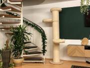 Traumwohnung 2 Zimmer Maisonette