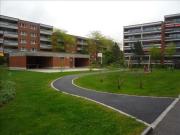 Treffer Der wetterfeste Parkplatz für Sie