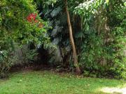 Tres ambientes en alquiler con jardín !