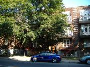 Très beau 3 1/2 à louer, entièrement rénové! À voir...