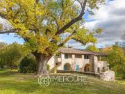 Très beau Mas Origine Xvi ème siècle sur 5 hectares...