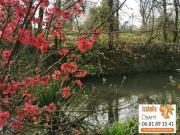Très belle maison Gasconne au cœur du Gers avec terrain...