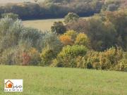 Très belle propriété de 60 hectares tout attenants, avec...