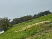 Très grand Terrain constructible