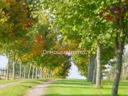 Très jolie maison en campagne isolée, carrière, boxes et...